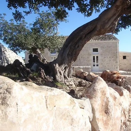 Farm stay Antico Carrubo