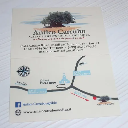 Antico Carrubo *