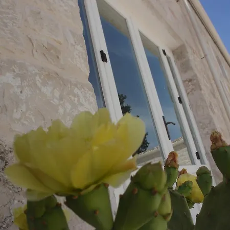 Farm stay Antico Carrubo *
