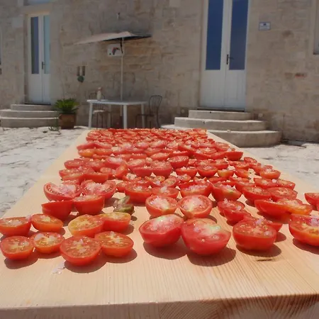 Antico Carrubo